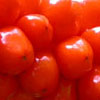 thumb1