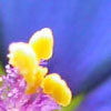 thumb12