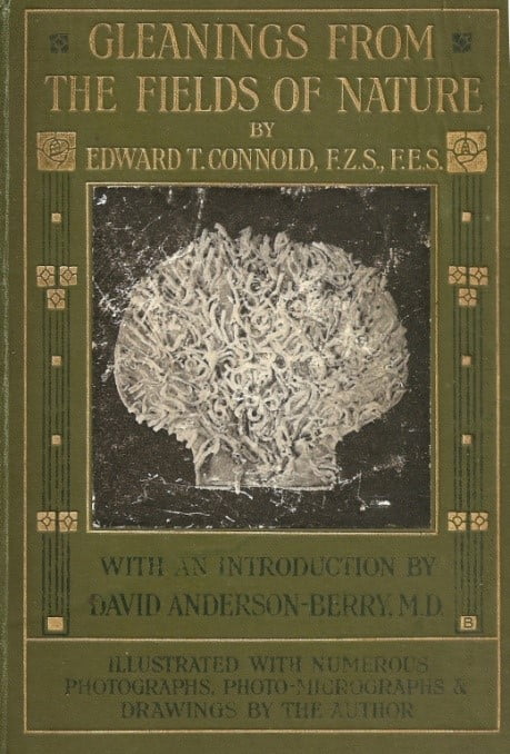 The green book cover of Gleanings From The Fields of Nature. The text on the cover is a gold colour and there is an image of what looks like a shell containing seaweed.